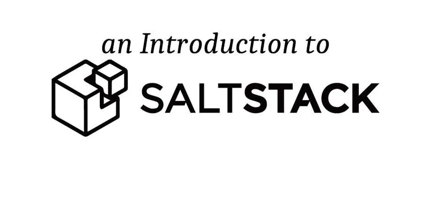 Salt screenshot 2